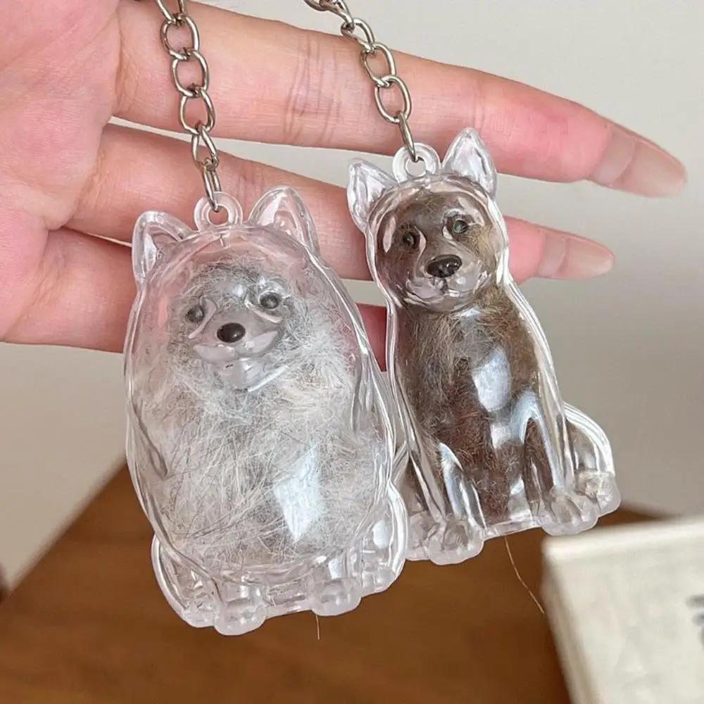 

Transparent Dog Hair Memorial Storage Keychain Animal Party Favors Souvenirs Hair Storage Orgenizer Pendant Pet Hair Storage Box