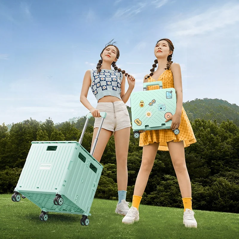 portable-shopping-cart-small-pulling-hand-truck-market-stall-display-stackable-pull-cart-household-retractable-handle-cart