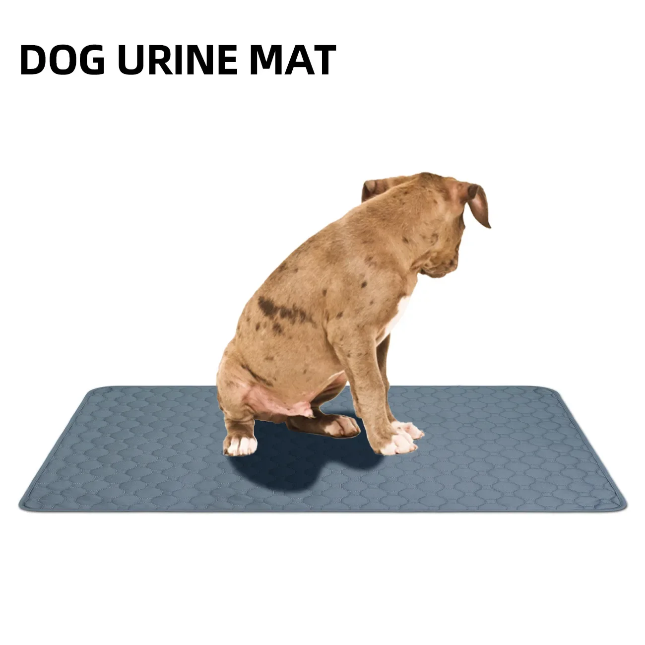 Dog Pee Pad Reusable Washable Dog Urine Mat Car Seat Floor Sofa Waterproof Absorbent Puppy Cat Training Diaper Mat Pet Supplies