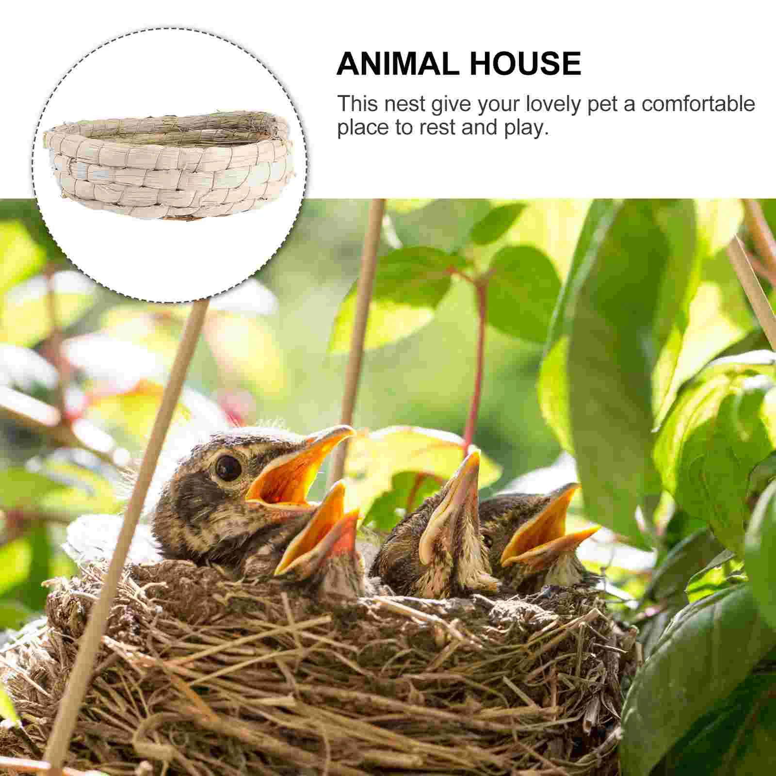 Bird Nesting Box for Pigeons, Quails, Parakeets, Cockatiels, Budgies, Chinchillas, and Quail Cage House