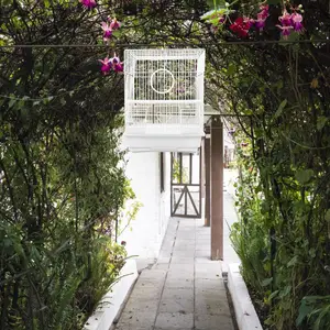 Vogelkäfig, Papagei, Cockatiel, Draht, Haustierkäfige, Vögel, Reisetransport, Schmiedeeisen, tragbar, Papageienkäfig Hauptverkaufsnetz zum Erfassen von Vögeln - №3