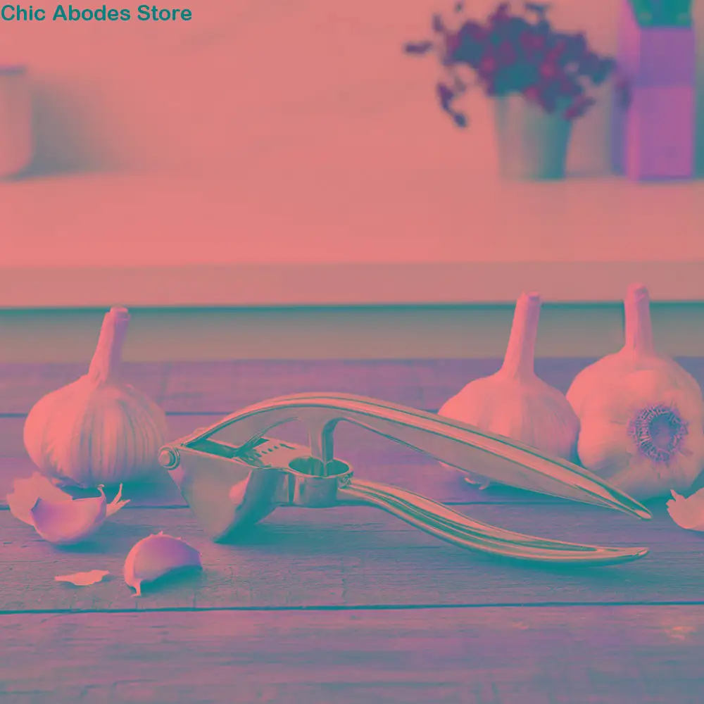 

2 in 1 Garlic Press Rust-proof Corrosion-resistant Garlic Masher Labor-saving Zinc Alloy Garlic Squeezer Kitchen Gadgets