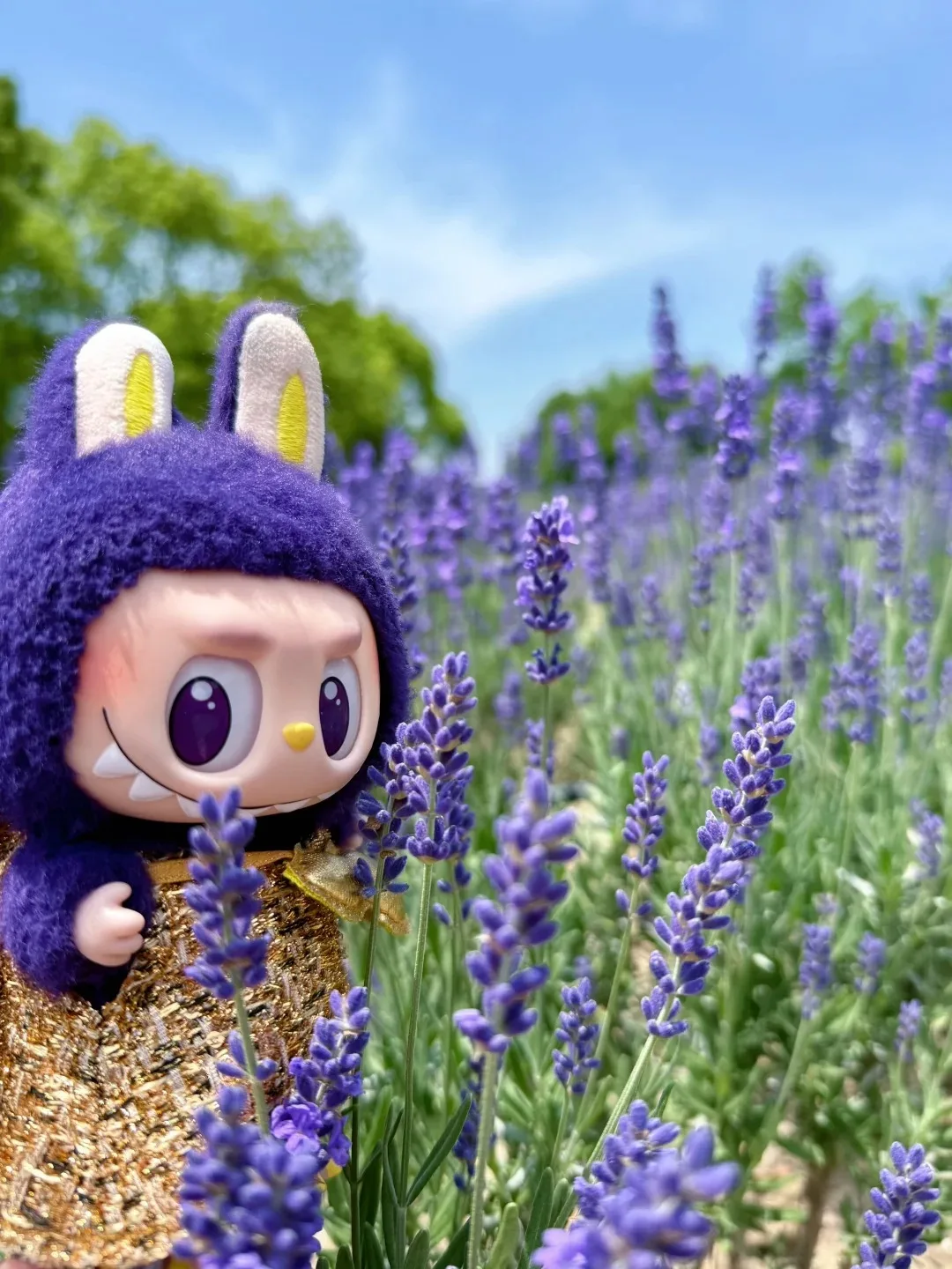 ポップマート クラシック オリジナル商品 ラブブ 幸運の翼 リトルミラン ぬいぐるみ飾り サプライズ キュート クリスマスギフト 在庫あり