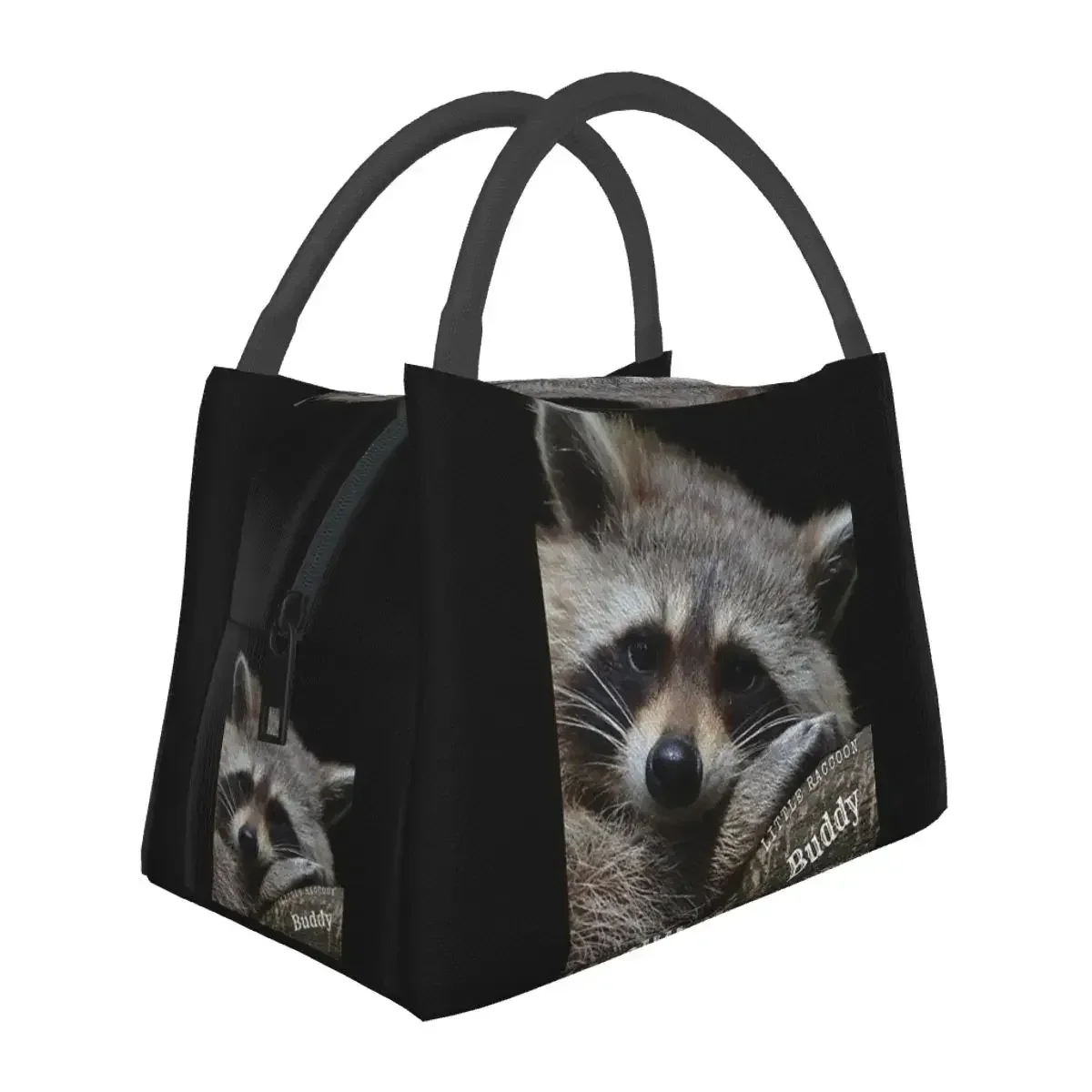 Little Raccoon Buddy Panda Lunch Bags Insulated Bento Box Waterproof Lunch Tote Picnic Bags Cooler Thermal Bag for Woman Girl