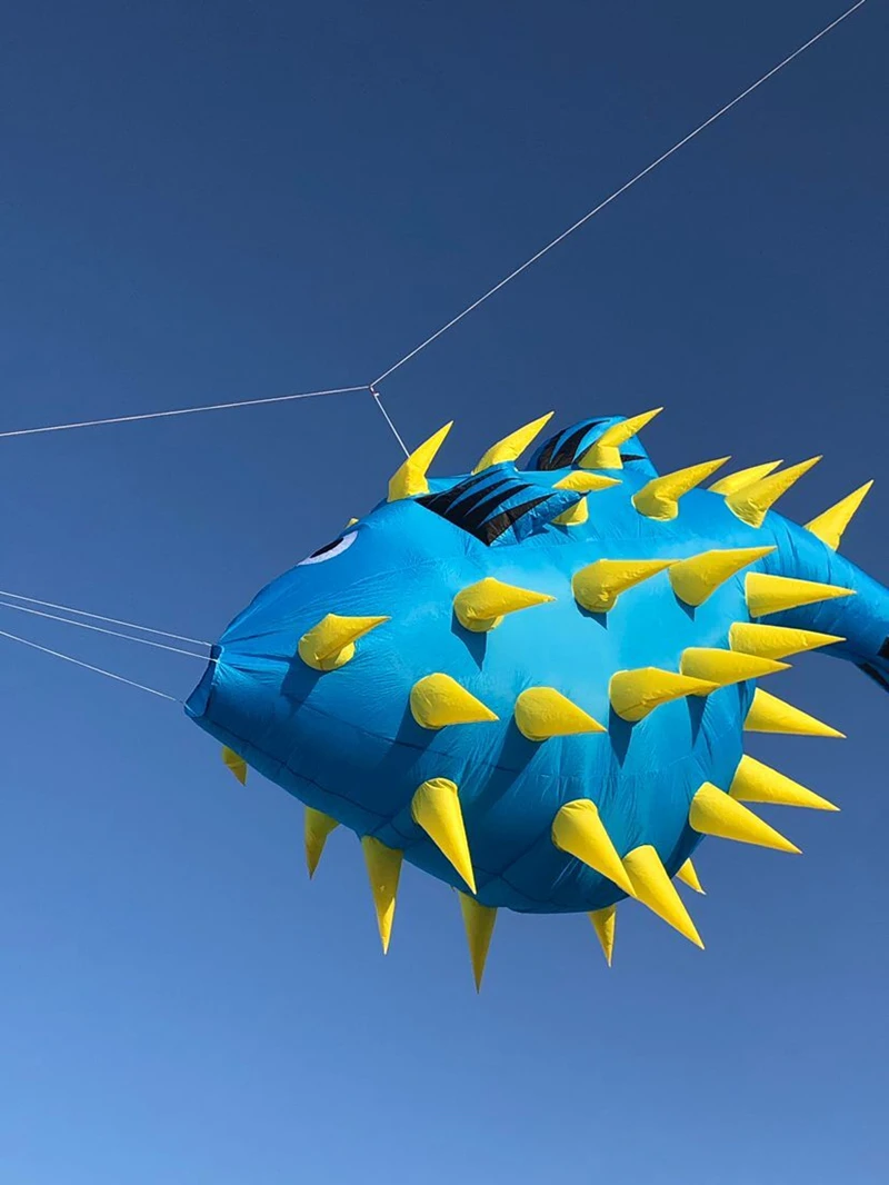 free shipping puffer fish kite flying outdoor toys wind kite for adults kite reel inflatable games parachute kitesurf toy sports