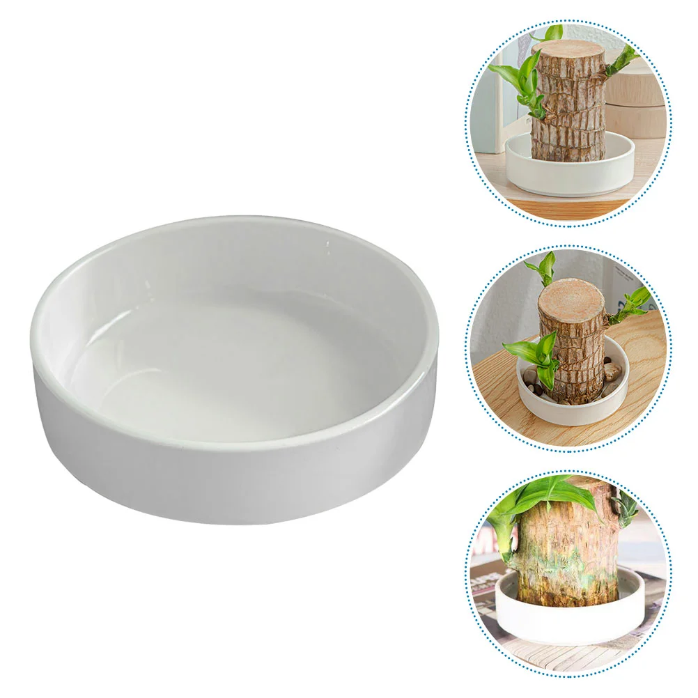 

2 Pcs House Plant Pots Plants Brazilian Wood Flowerpot Trays for Drip Ceramic Planter Drain Saucer 920X920X200CM White Plate