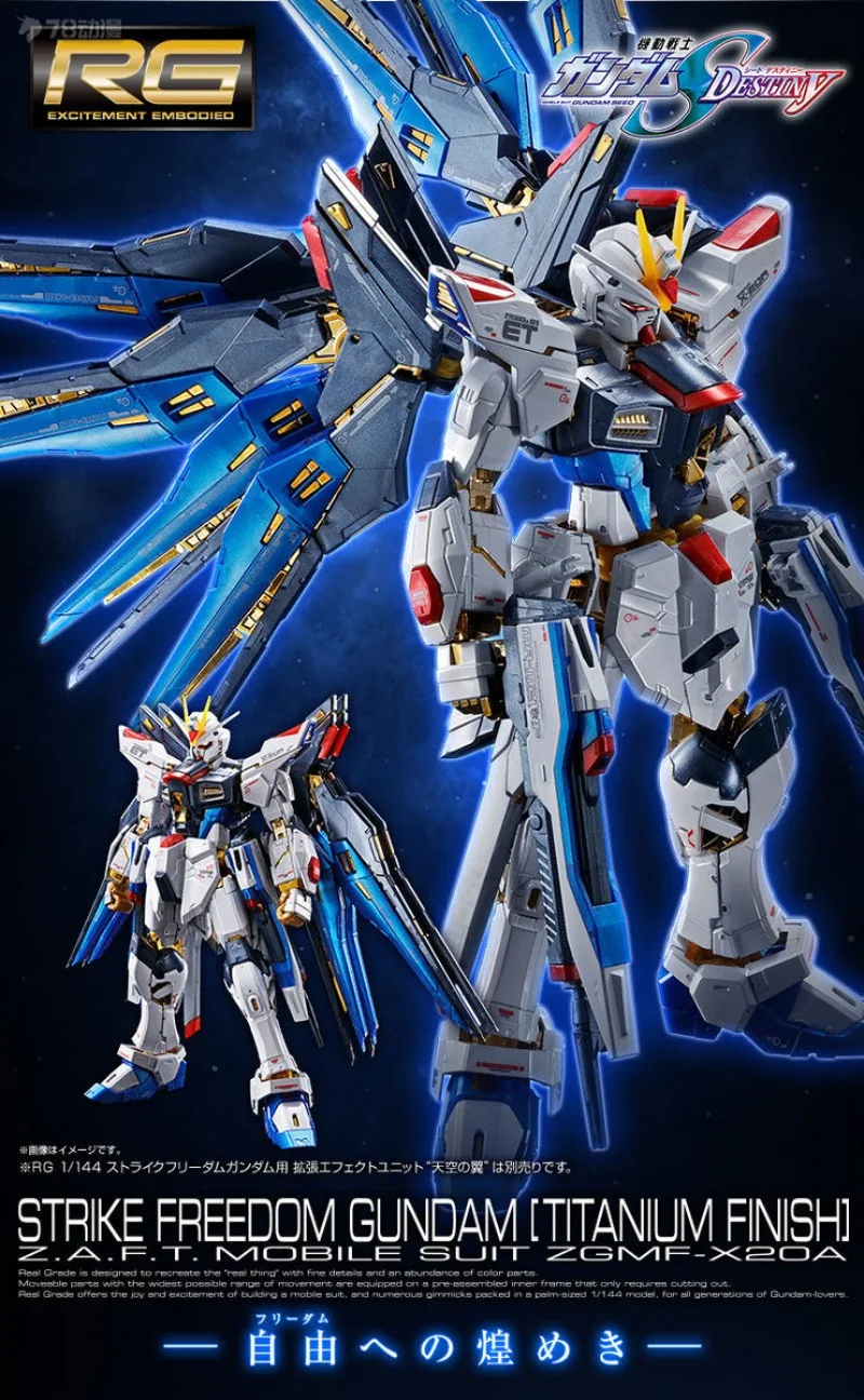 Bandai Genuine RG PB LIMITED STRIKE FREEDOM [TITANIUM FINISH