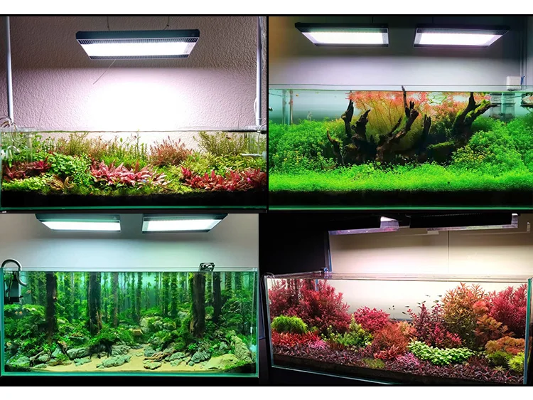 WEEK  AQUA A430pro-uv 水草水槽用RGBライト Week Aqua A430 PRO LED Light for Planted Tanks | Aquatic Motiv