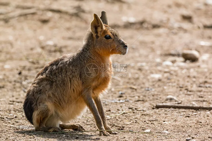 

MN MN82 LC79 MN78 D90 D91 D96 99S RC Remote Control Car Parts Upgrade Front and Rear Axle Wheels