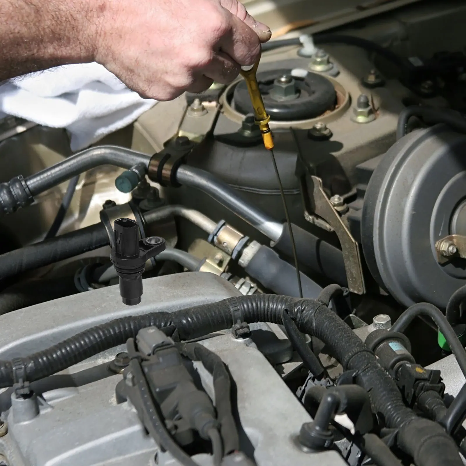 

Car Camshaft Position Sensor Reliable Replacement Lightweight Design Automotive Camshaft Position Sensor for Vehicle Use