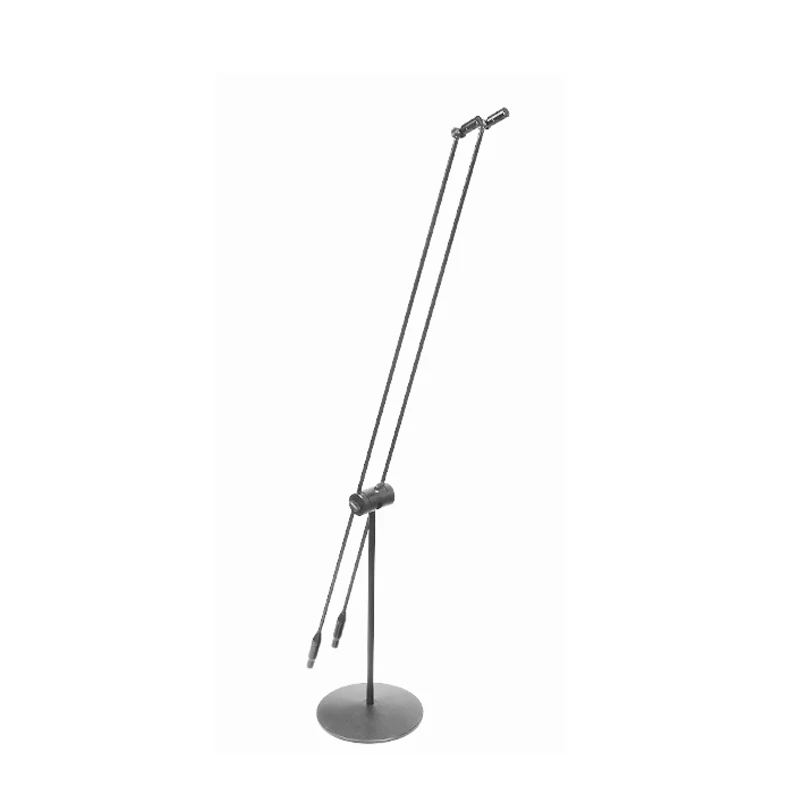 MiCWL C20 ميكروفون مزدوج قائم بميكروفون فائق القلبي لمجموعة جوقة ستوديو المرحلة القطب مع حزمة المدرجات