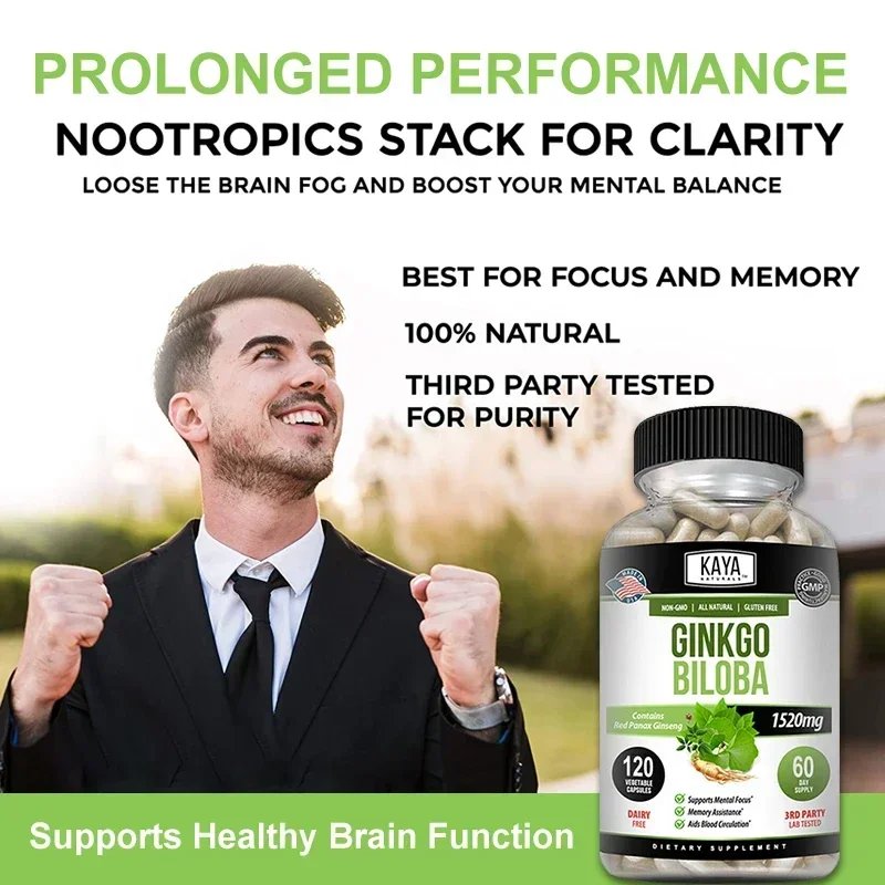 Ginkgo Biloba + Red Ginseng Extract Capsules – for Brain, Antioxidants, Blood Circulation, Mental Focus Memory Health Supplement