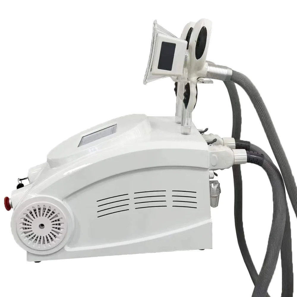 Professional Body Sculpting Machine Two Probes Beauty Device for Fat Reduction