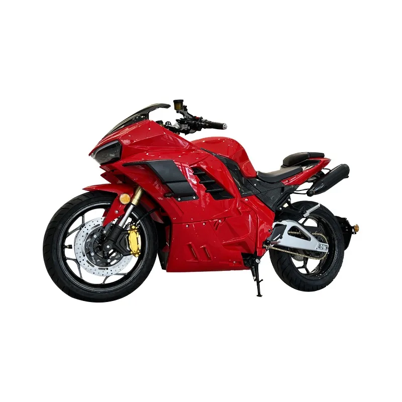 

2025 New Style Hot Sale Self Balancing Electric Motorcycle With Ce Certificate For Adult