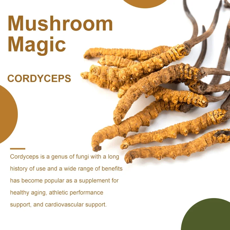 Cordyceps Capsules 1000mg - Helps with Energy, Natural Endurance, Immune & Cardiovascular Health