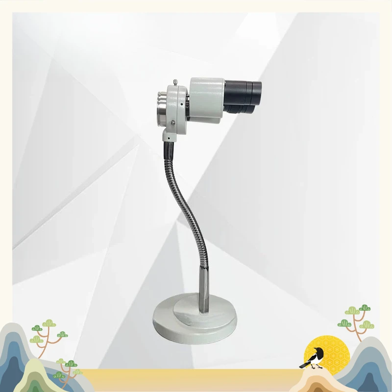 RX-6D 8x Oral Cosmetic Examination, Jewelry Micro-inlaid Small Binocular Stereo Microscope