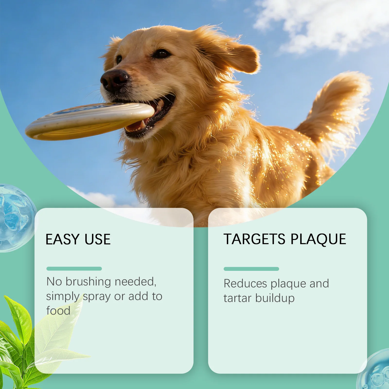 Mundspray für Haustiere Hunde Katzen Zahnreinigung Deodorant Reduziert Plaque und Zahnstein Mundpflege Deodorant-Spray – Detail 2