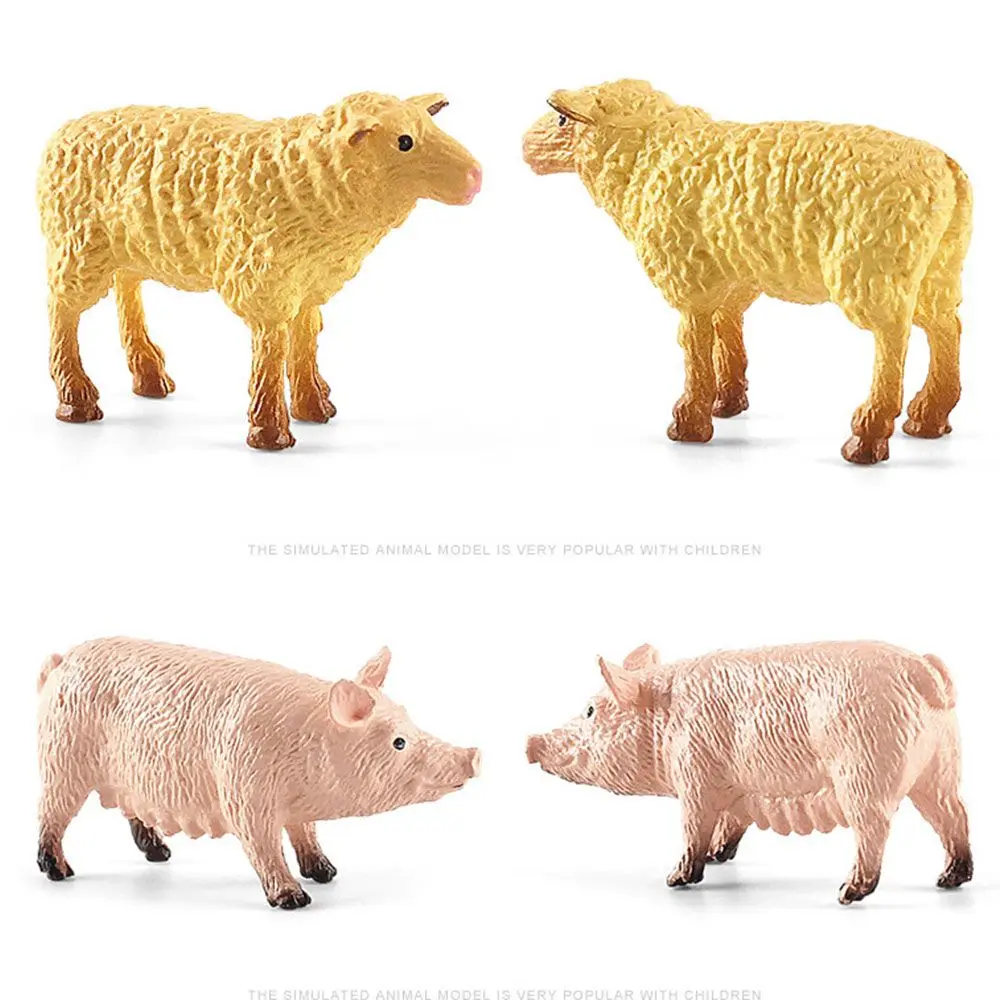Creative Miniatures Farm Education Figurines  Animal Model Simulated Poultry