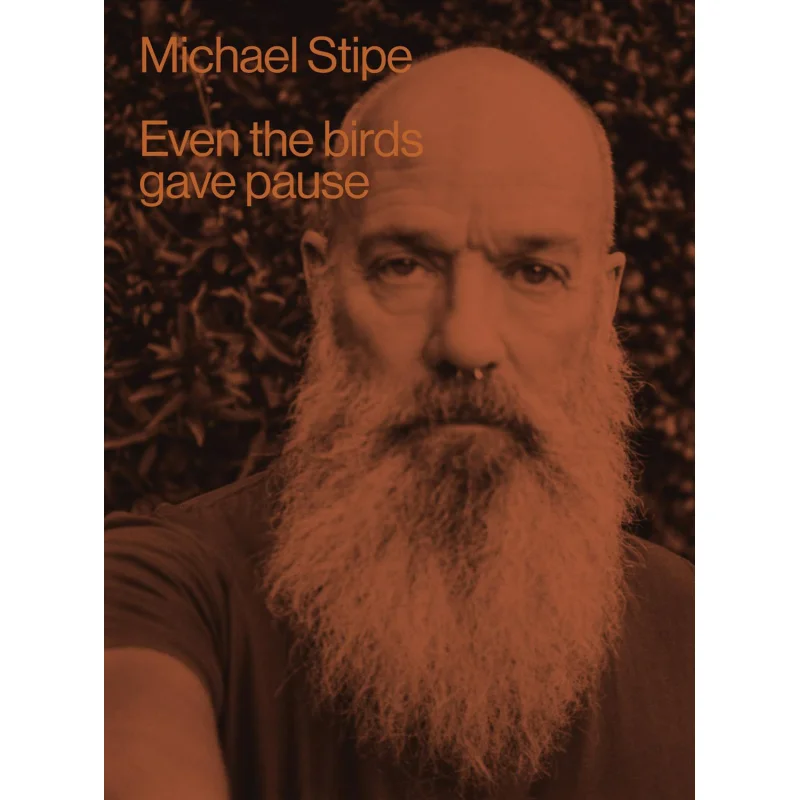 

Michael Stipe Even The Birds Gave Pause Michael Stipe Damiani Ltd 9788862088145 Книга