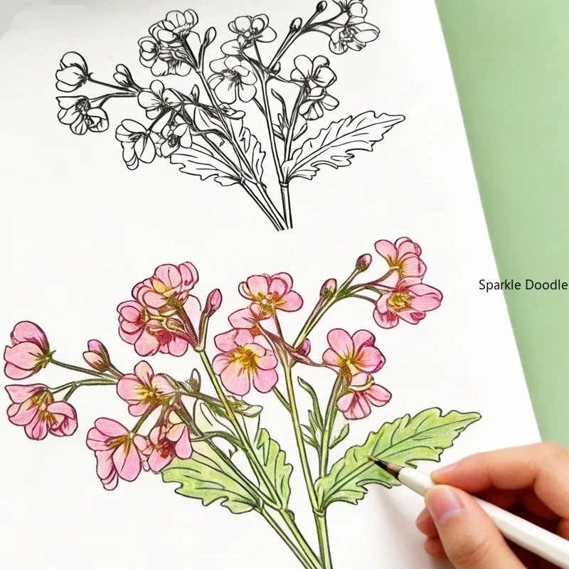 An Adult Decompression Flower Line Drawing Coloring Book, Step-by-step Practice Flower Copying Coloring Book, 24 Flower Patterns