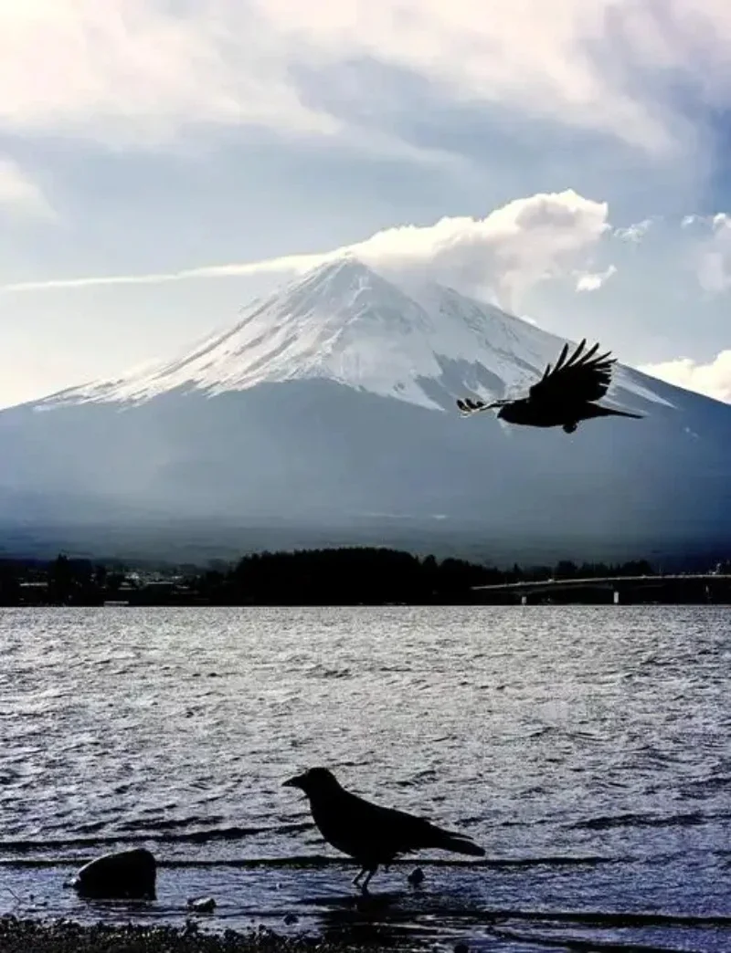 Para Volkswagen VW Caravelle Multivan California Transporter T3 T4 T5 T6, 2 pegatinas gráficas laterales para carrocería de coche, accesorios