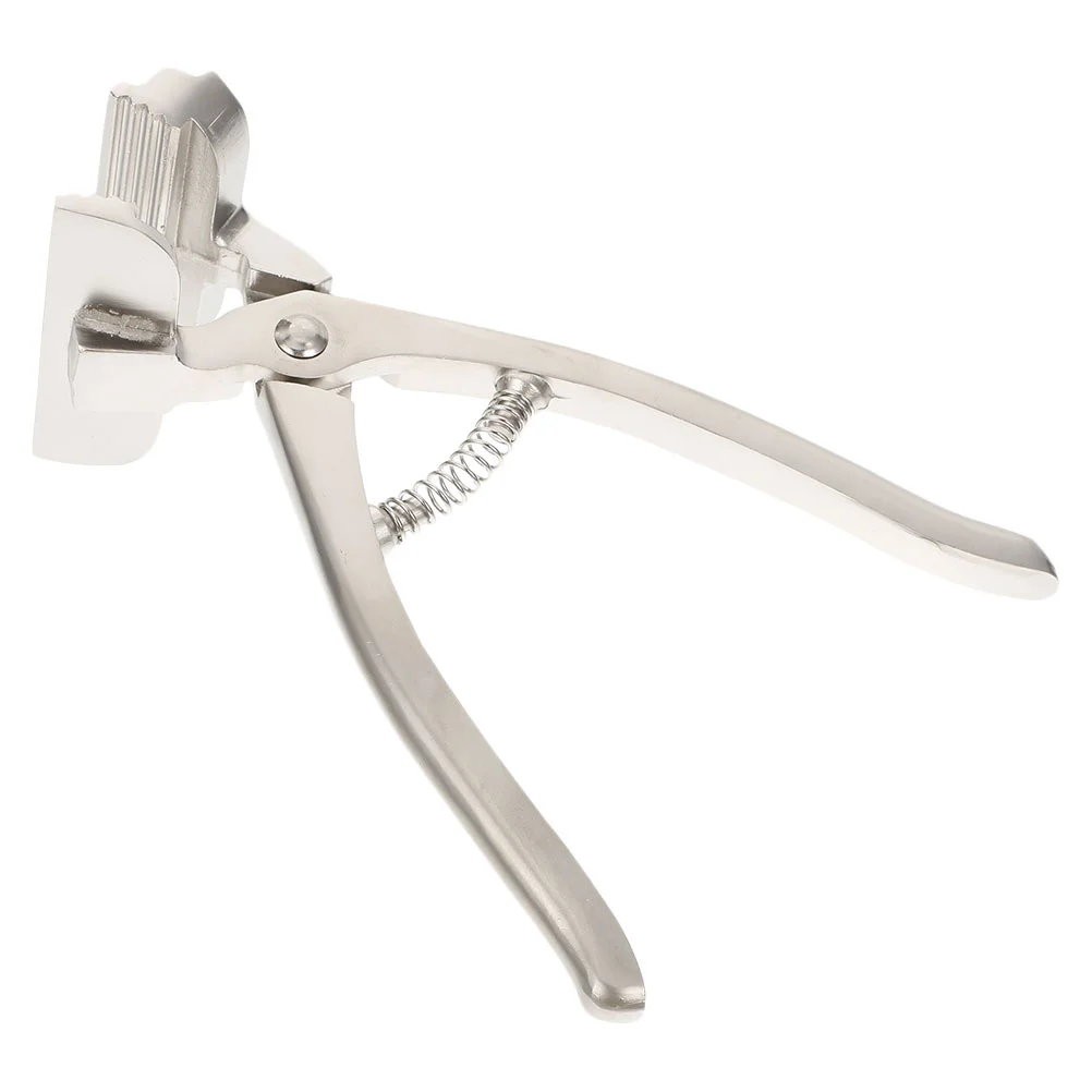 

Canvas Pliers Painting Cloth Clamp Gripper for Stretching Tool Stretcher Accessory Tension Metal Clip