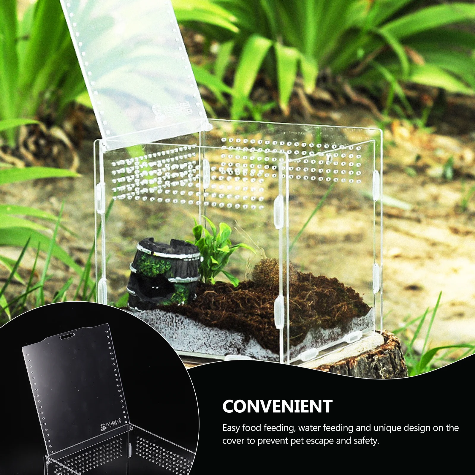 

Transparent Reptile Feeding Box Large Comfortable Space for Turtle Spider Snake Scorpion Hermit Crab Acrylic Breeding Container
