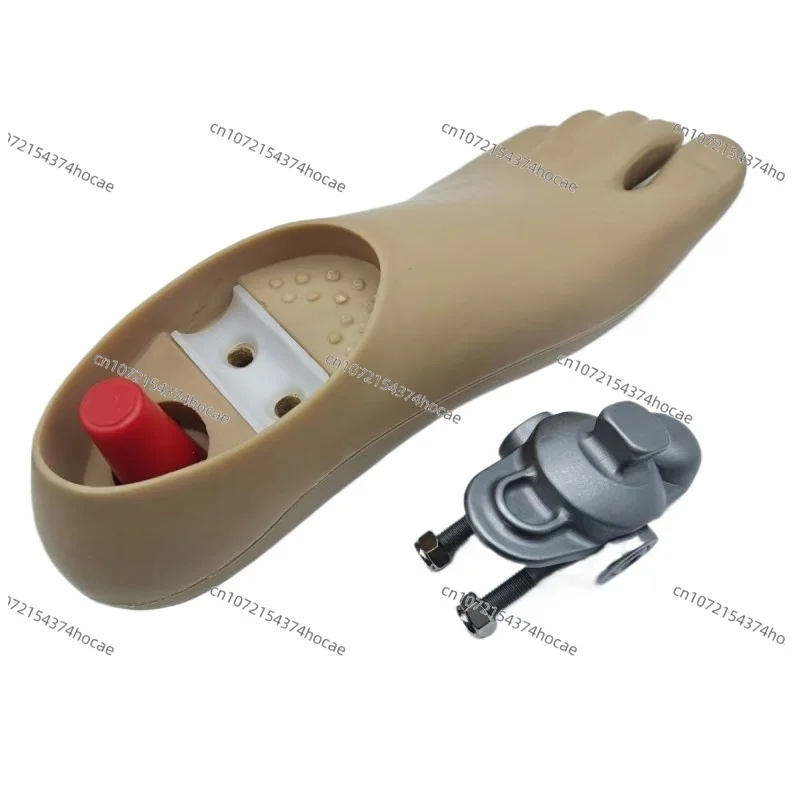 Prosthetic accessory polyurethane prosthetic foot disabled person's leg's sole double-hole moving ankle foot combination set