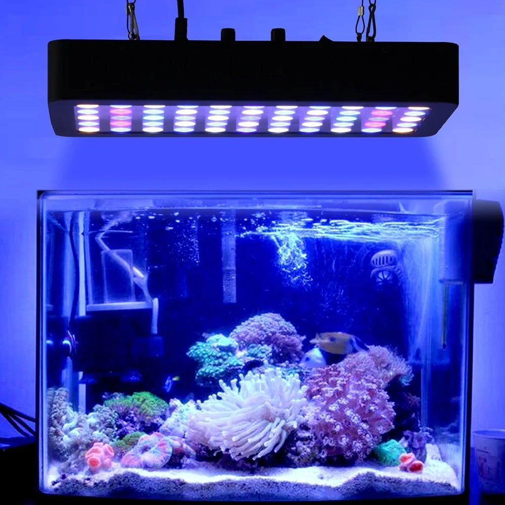 Imagem -06 - Dimmable Led Fish Tank Light Marine Reef Coral Lamp For Underwater Plant Grow Iluminação para Água Salgada e Doce Luzes de Aquário 165w