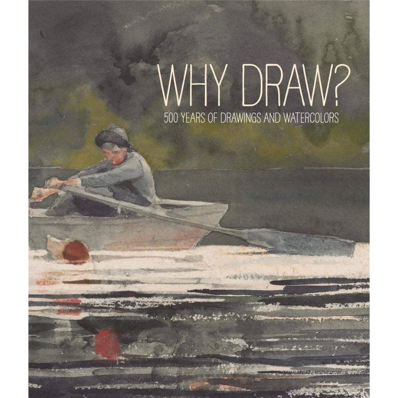 

Why Draw 500 Years Of Drawings And Watercolours Joachim Homann Prestel Publishing 9783791356068 Book