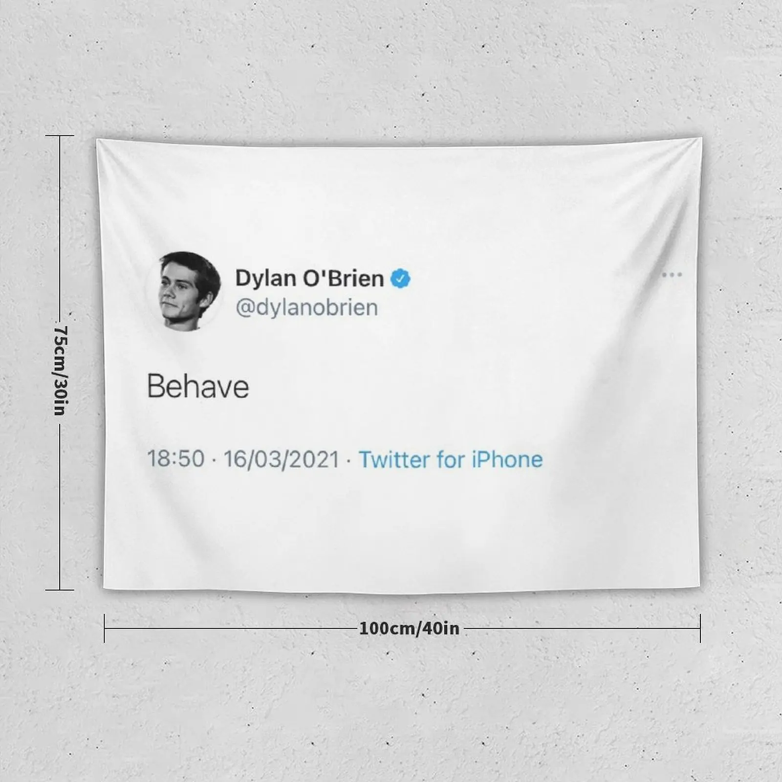 dylan o’brien behave tweet Tapestry Wall Carpet Decoration Wall Room Decor Cute Wall Art Tapestry