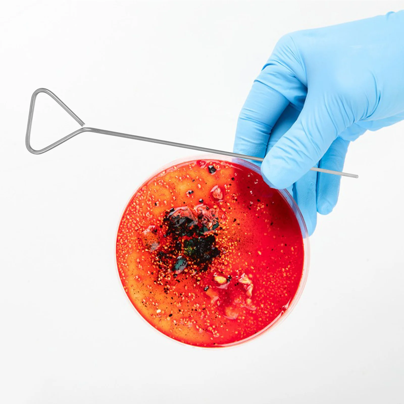 6 szt. Trójkątnych szpatułek Petriego ze stali nierdzewnej do rozsiewania komórek laboratoryjnych, narzędzie do eksperymentów hodowlanych, akcesoria laboratoryjne, pomoce dydaktyczne