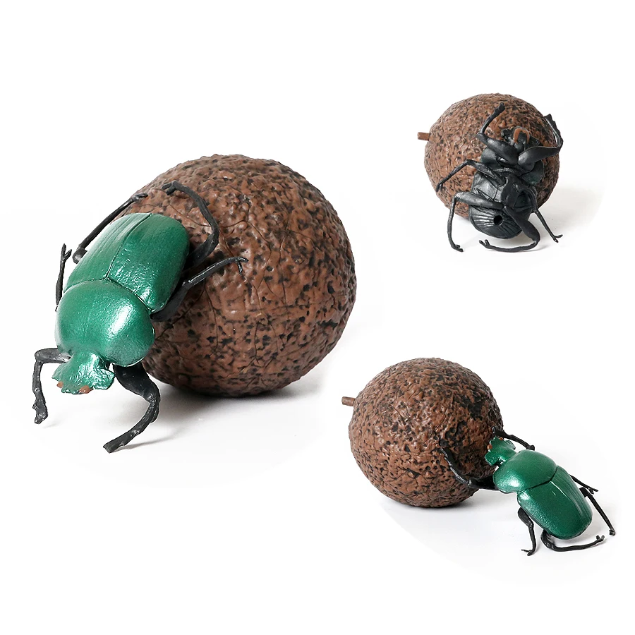 Figurines Miniatures en Plastique de Simulation d'Insectes Sauvages, Jouets de Collection Scientifique pour Enfant