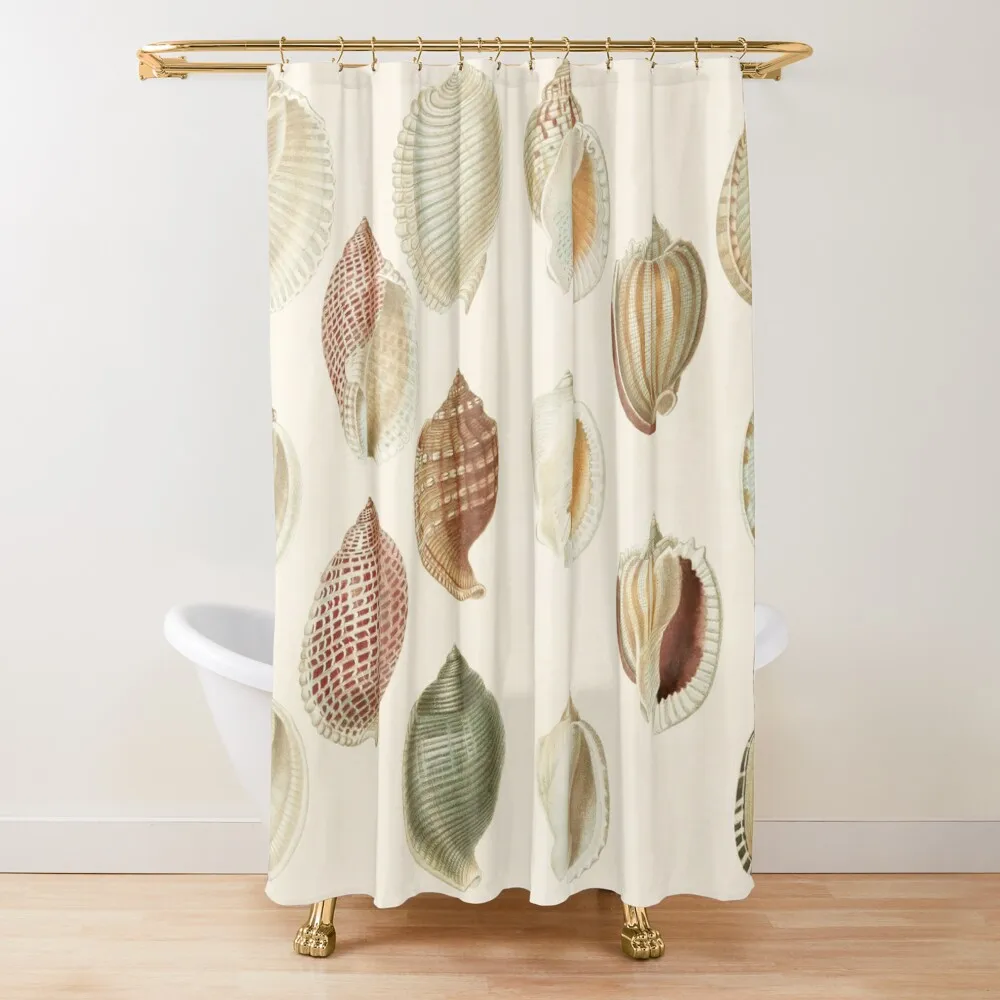 

Snail shells Shower Curtain Shower Bathroom Cute Shower Curtain