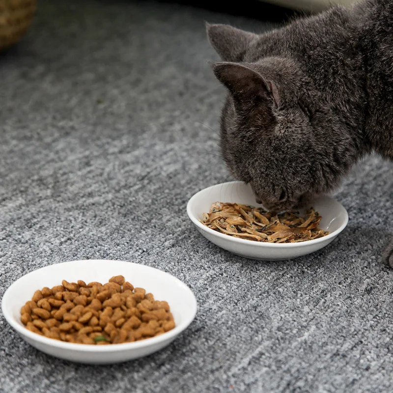 Mini assiette en céramique chat mignon, petit plat de dessin animé, bol à collation créatif, Alberchilla SLaura kasgehog, nouveau