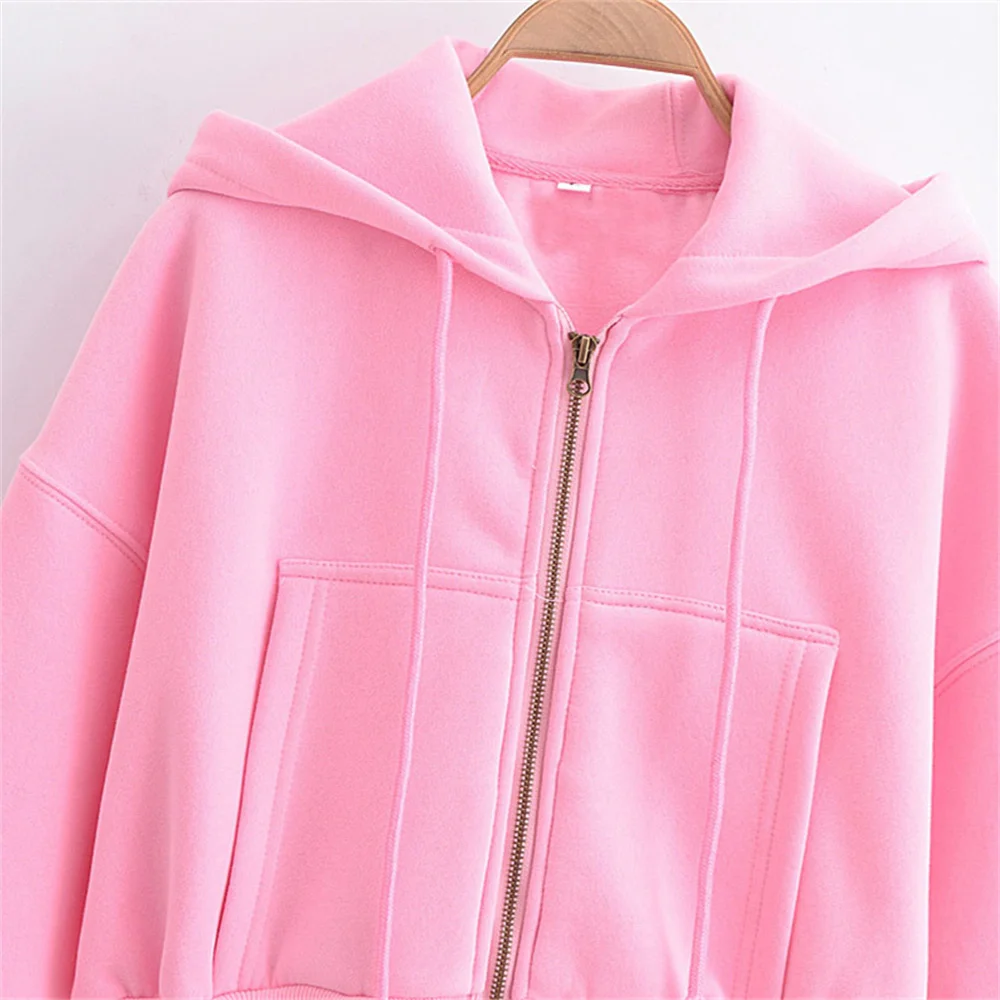 2024 Spring New Women\'s Fashion Versatile Style Slim Slimming Zipper Closed Long Sleeve Hooded Short Sweater