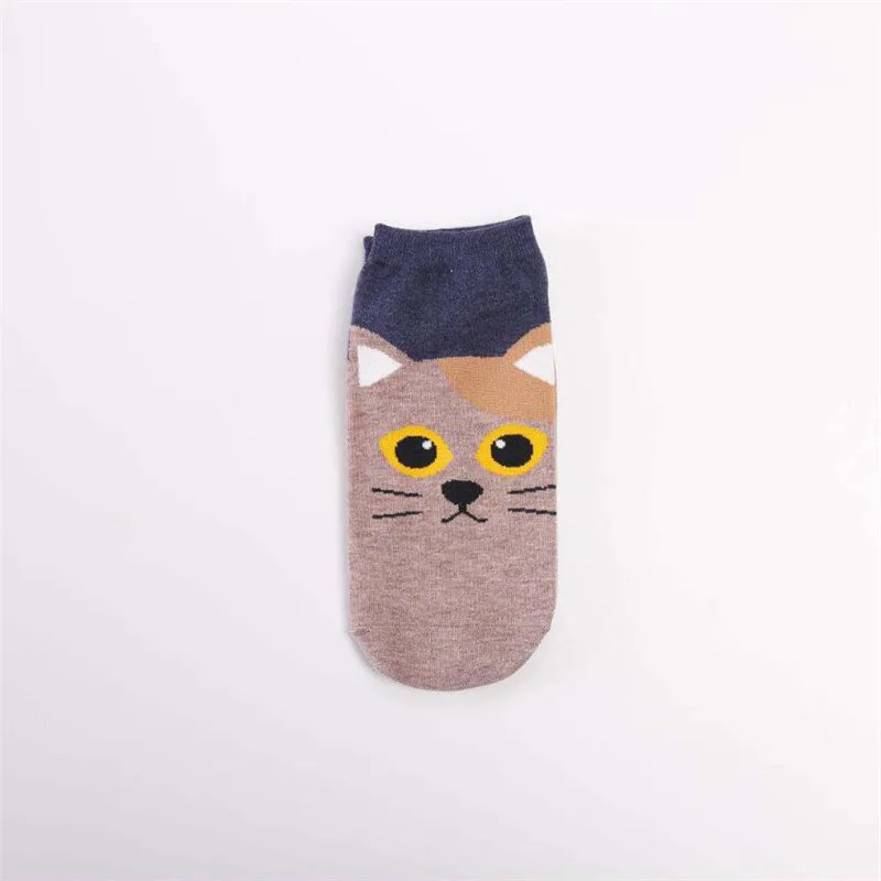 MYORED 5 double Korean cartoon animal female socks Cute cat dog casual straight breathable socks student socks boat socks