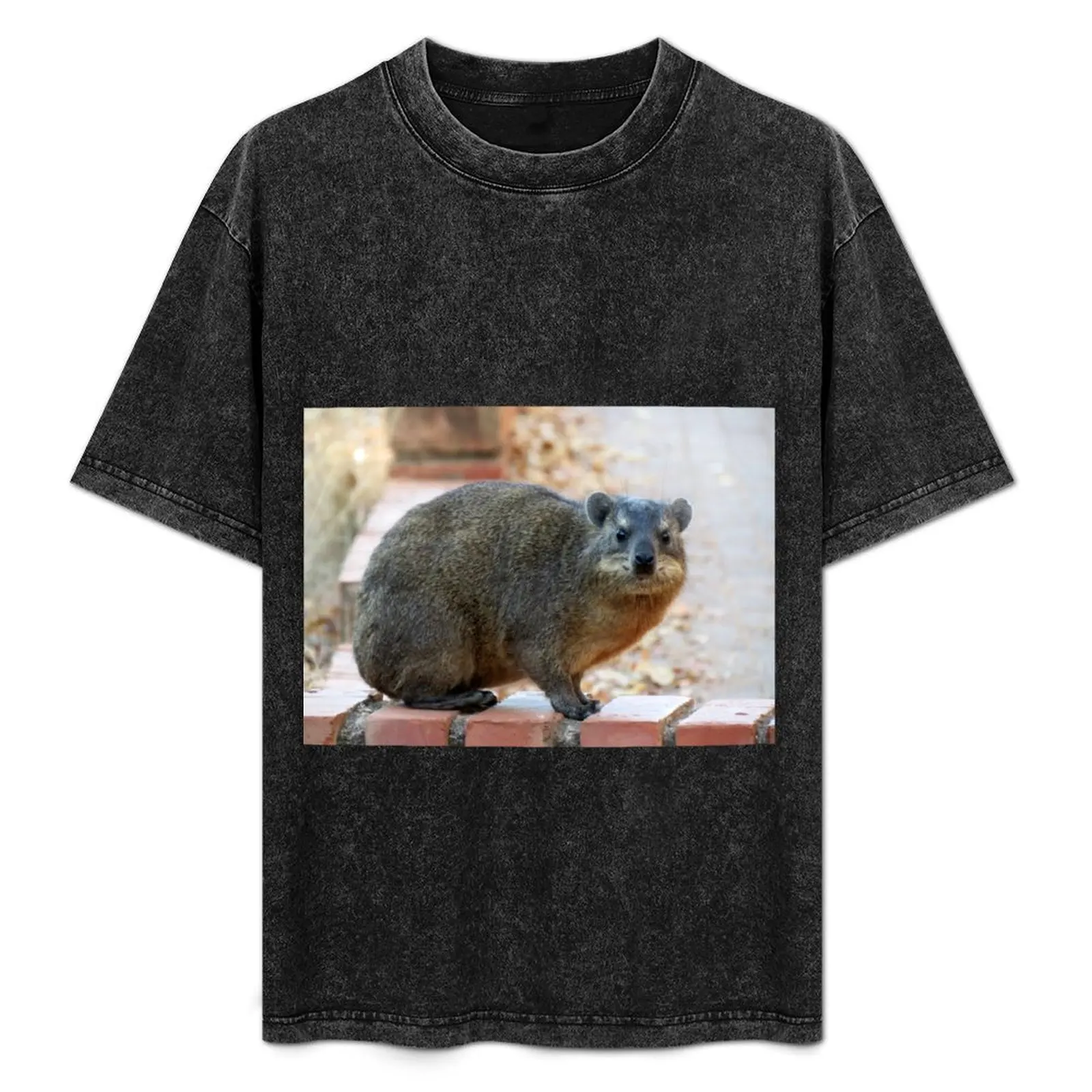 Dassie / Rock hyrax T-Shirt cotton graphic tees basketball graphic tees graphic t shirts fitted t shirts for men