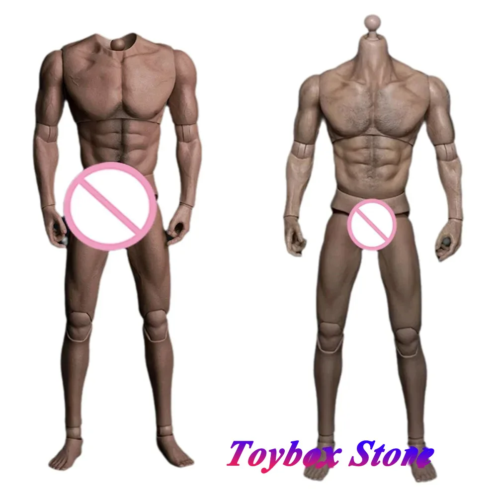 Worldbox at012 at017 1/6 soldado masculino corpo comum at018 homem gordo at020 at027 corpo móvel muscular para 12 "figura de ação decoração