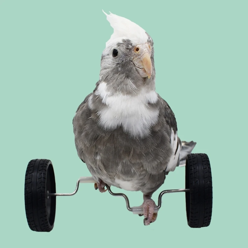 Parrot Training Balancing Bike Toy Interactive Row Roller Bird Cage Toy Cockatiels Training Birds Cage Sports Supplies