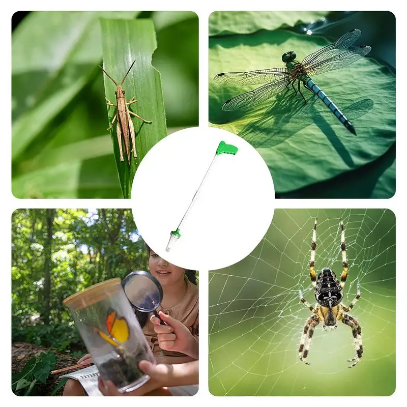 Spider Catcher Tool Long Handle Fly Catcher Contactless Spider Grabber Nature Exploration Toys For Home Garden Camping Beach