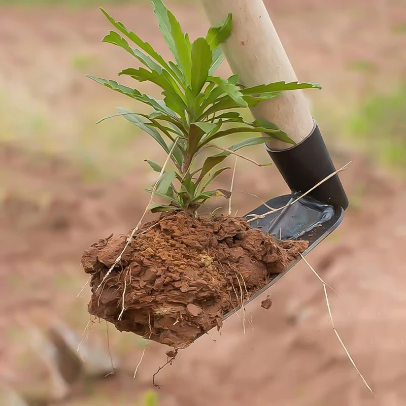 จอบขุดดินขนาดเล็ก ใช้ในครัวเรื - Gardening Tools Used บทวิจารณ์และราคา