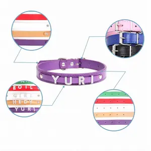 Yaka evcil hayvan Taklidi, özel, baskı, ayarlanabilir Taç, isim Tılsım Kolye, Chihuahua, Kimlik, Yaka, kedi ve köpek, kişiye özel Scooby doo köpek tasmasındaki 6 büyük satış-no. 4