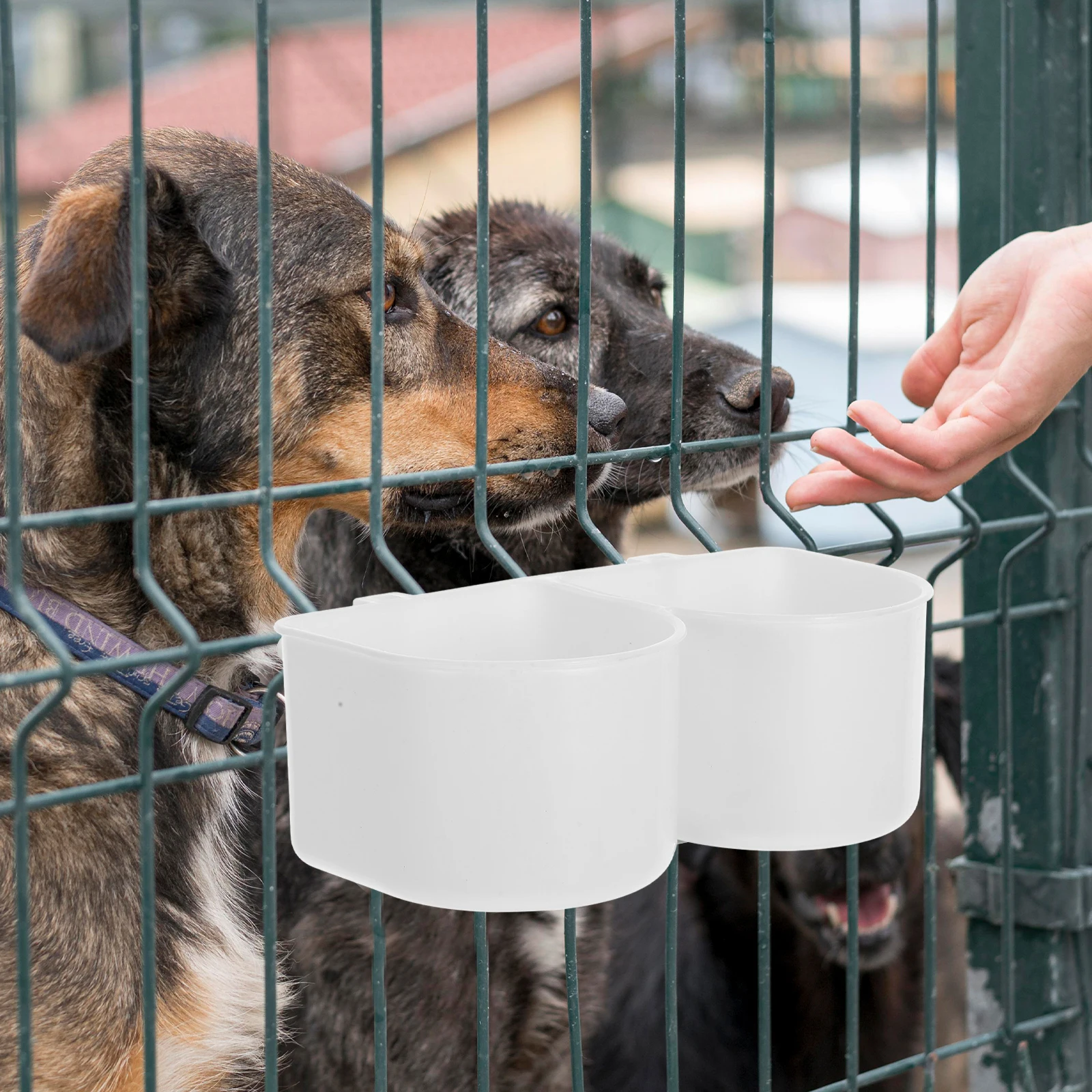 

Pet Cage Bowl Dog Bowls Crate Food Kennel Chicken Cup Clip on Bird Feeder ABS Durable Splash Proof Adjustable Height Kitten