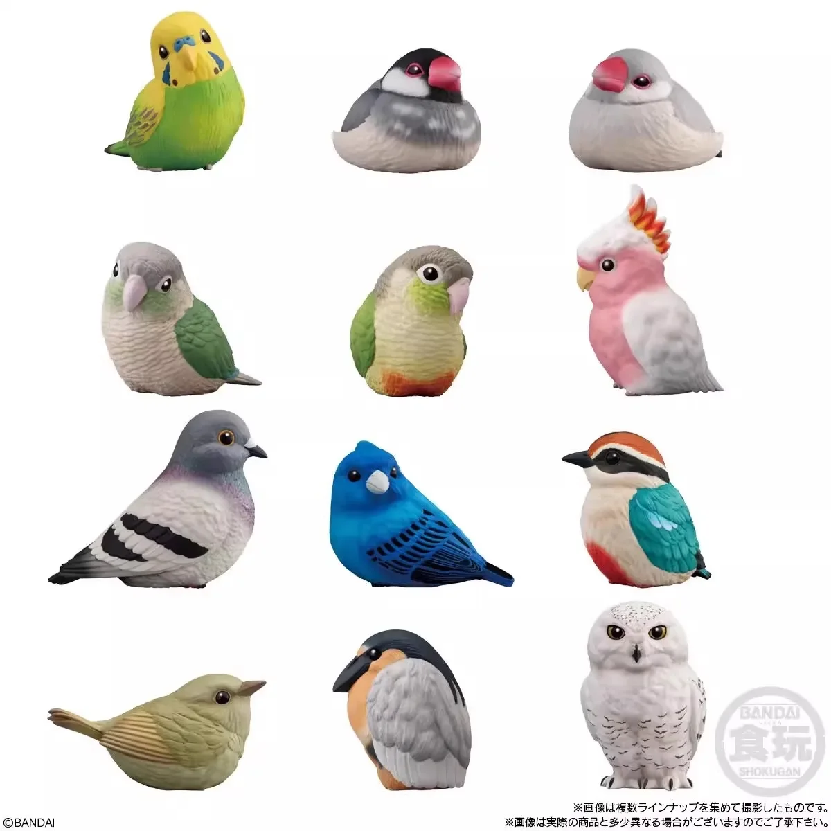 Genuine CANDY TOY Animals Owl Pigeon Parrot Crowr Flying Squirrel Cute Action Figure Ornament Toys