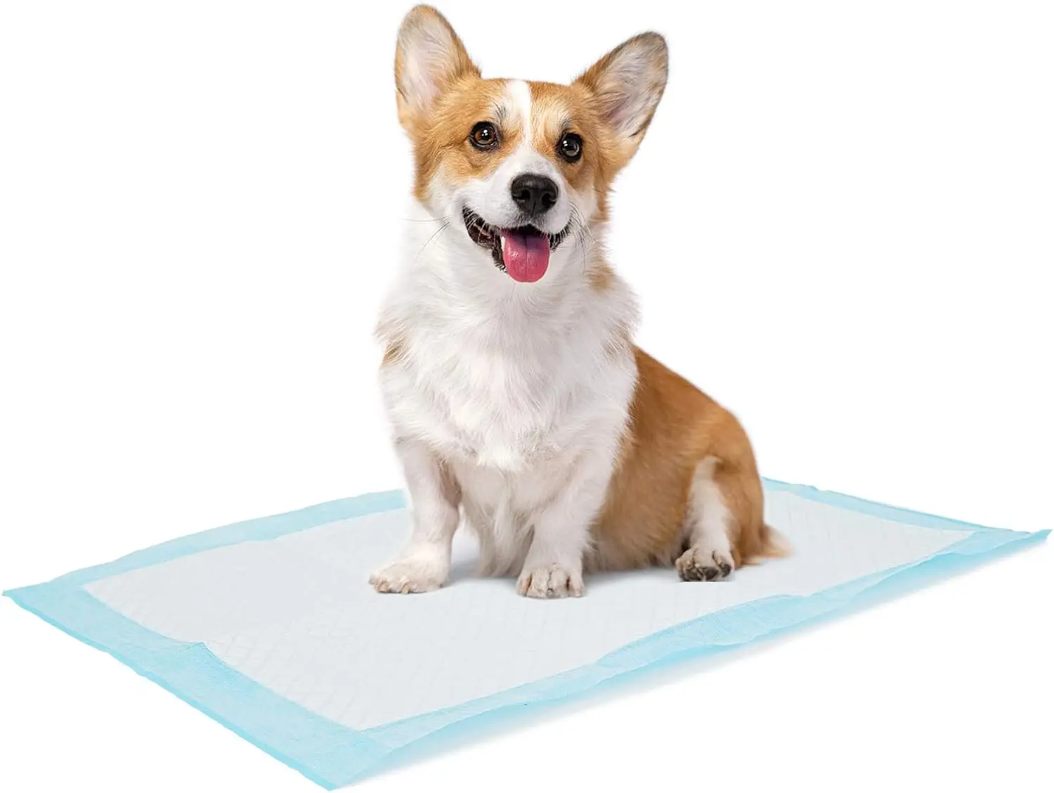 

Ultra Absorbent Disposable Dog Pee Pads, 13x18 Inches, 100 Count, Leak-Proof, Fast Drying for Puppy Training