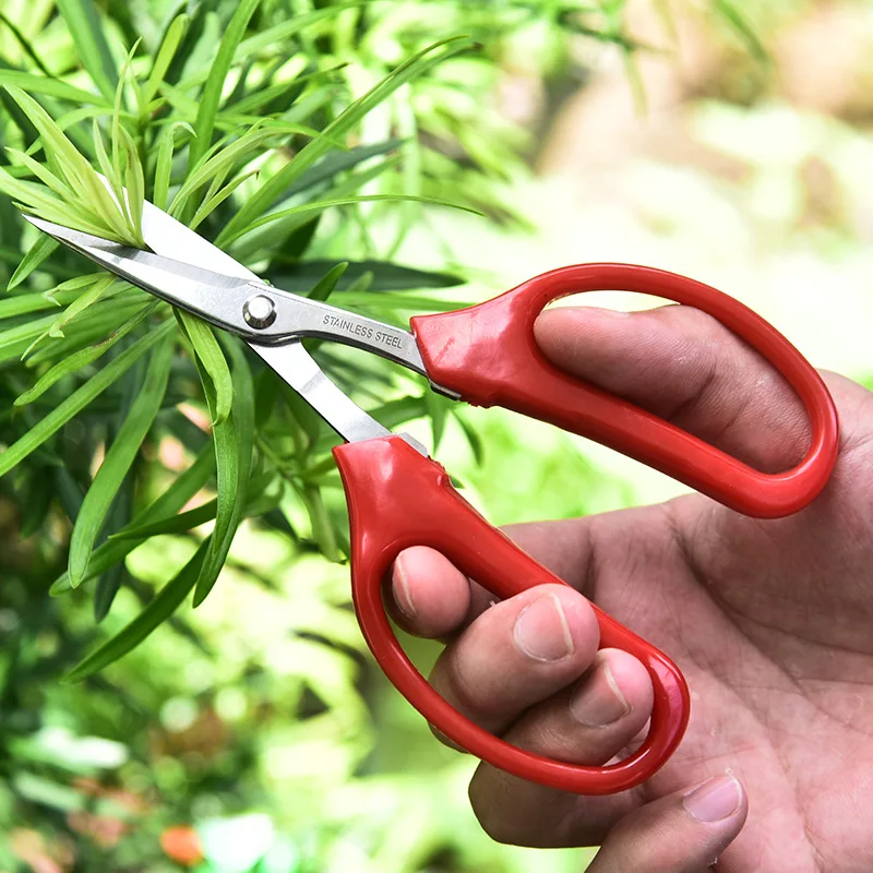 Whosesale paslanmaz çelik meyve üzüm makas kesme kırmızı PP konfor kolu budama makası Bonsai çiçekler için bahçe aletleri