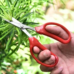 Whosesale Stainless Steel Fruit Grape Scissors Clipper Red PP Comfort Handle Pruning Shears Gardening Tools for Bonsai Flowers