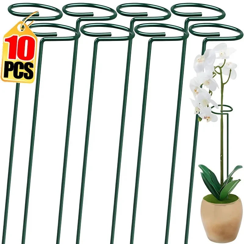 

High-quality Gardening Plant Supports Flower Stand Reusable Protection Fixing Tool Garden Supplies For Vegetable Holder Bracket