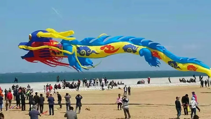 Free shipping 15m dragon kite flying for adults linha de pipa outdoor toy sports carretilha de pipa peonzas con cuerda large fun